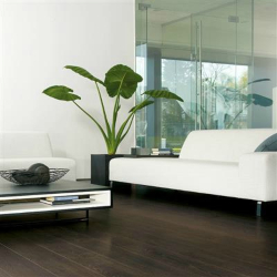 Een natuurlijke, intensieve bruine laminaatvloer leggen? Bij FloorHouse vind u aantrekkelijke donkere eiken laminaatvloeren.