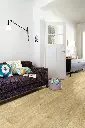 gambel_oak_116m_cv_beauflor_rsh_01.webp