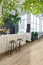 sunrise_oak_169l_cv_beauflor_rsh_01 (1).webp