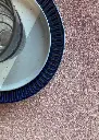 4051exampleVivid.webp
