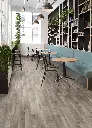 willow_oak_969m_cv_beauflor_rsh_02.webp