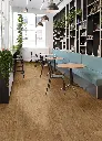 summer_oak_664d_cv_beauflor_rsh_01.webp