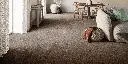 DRADTA_40_LIVING.webp