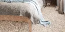 DIUSTA_03_BED.webp