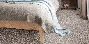 DIUSTA_32_BED.webp