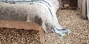 DIUSTA_35_BED.webp