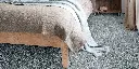 DIUSTA_75_BED.webp