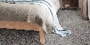 DIUSTA_97_BED.webp