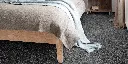 DIUSTA_99_BED.webp