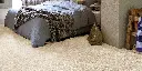 SINWTA_03_ROOMSHOT.webp