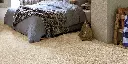 SINWTA_05_ROOMSHOT.webp