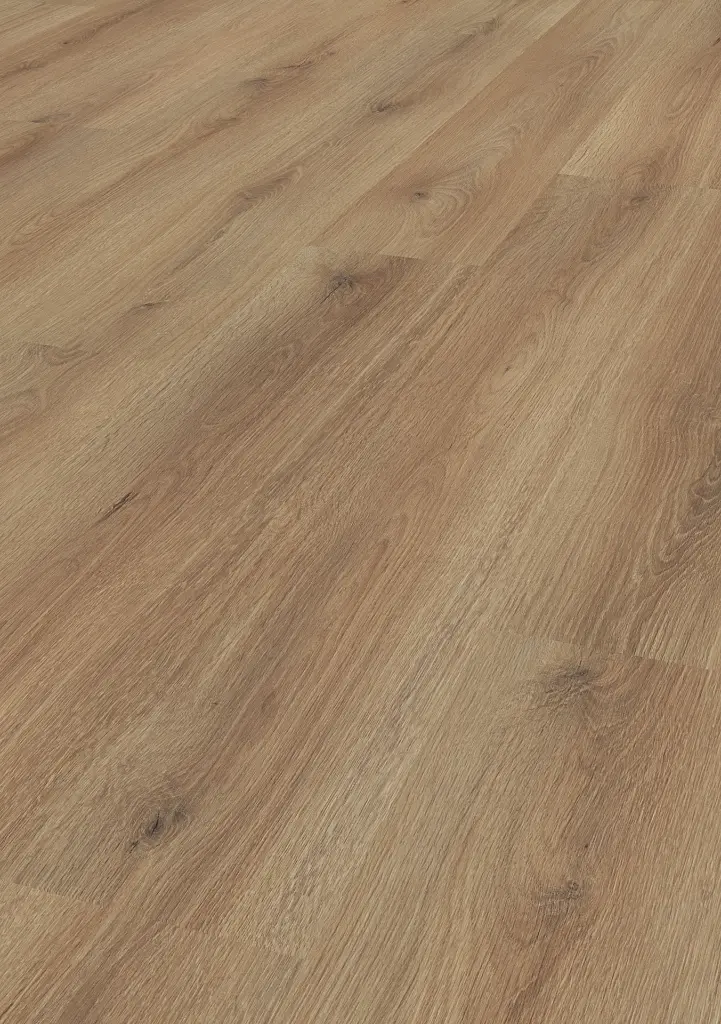 ca.f8.db.1188020021LBEicheAureliaOFPersV01 (1).webp