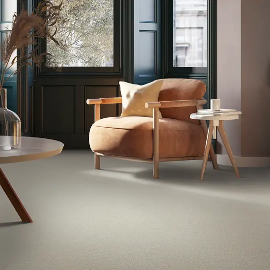 Zen-442-Ivoor-2.webp