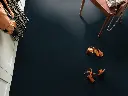 1455071543_sfeer_5.webp