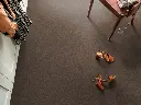 1757062043_sfeer_5.webp