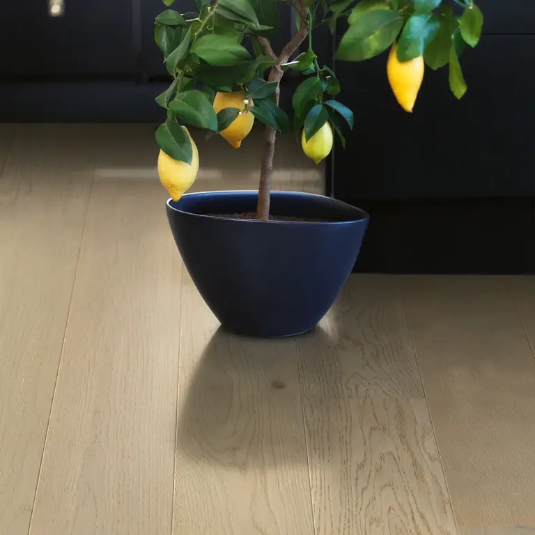 havenkant room 2.webp