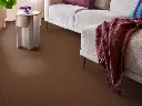 4097032343_sfeer_4.webp