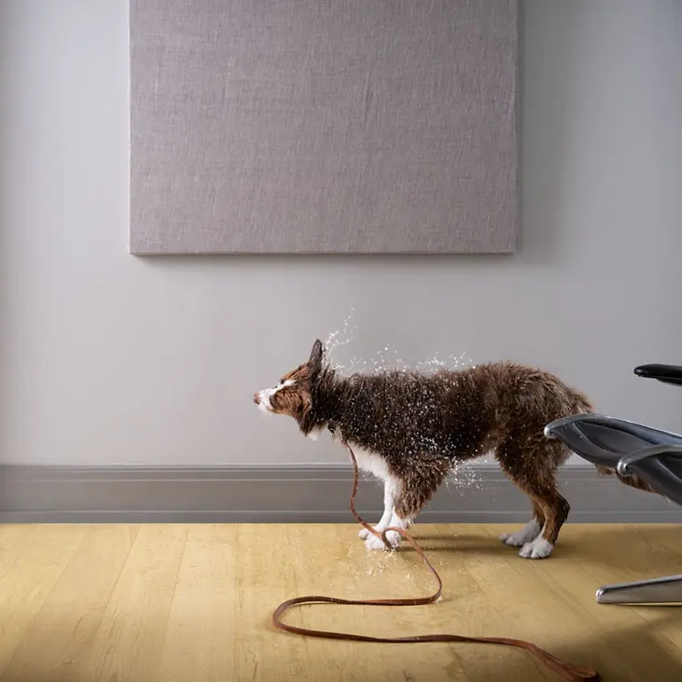 Pure licht room 2.webp