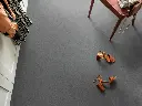 1575016543_sfeer_5.webp