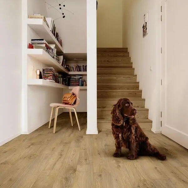 vero 363m_cv_beauflor_rsh_01.webp