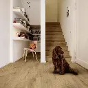 vero 363m_cv_beauflor_rsh_01.webp