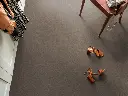 1325053543_sfeer_5.webp