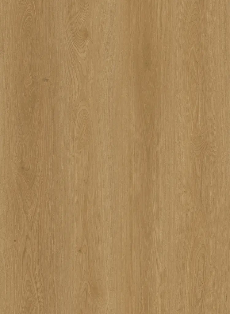 dumont plank.webp