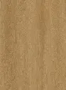dumont plank.webp