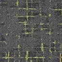 Macro 92.webp