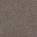 Maxima 40.webp