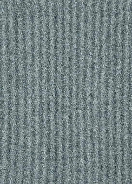 Spark 559.webp