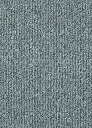 Spark 559.webp