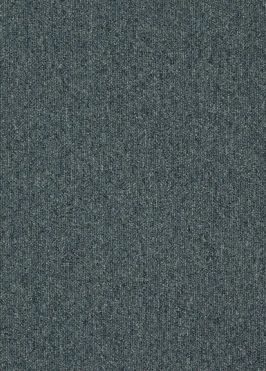 Spark 569.webp