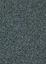 Spark 569.webp