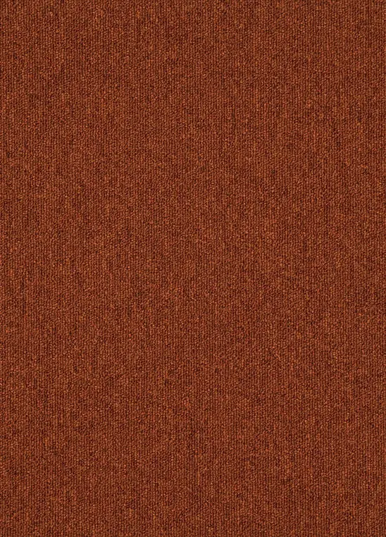 Spark 362.webp