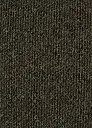 Spark 848.webp