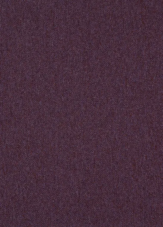 Spark 478.webp
