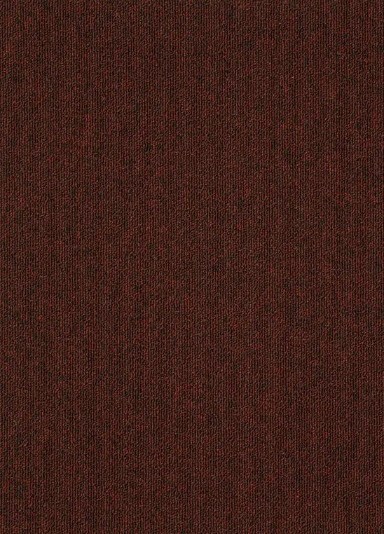 Spark 363.webp