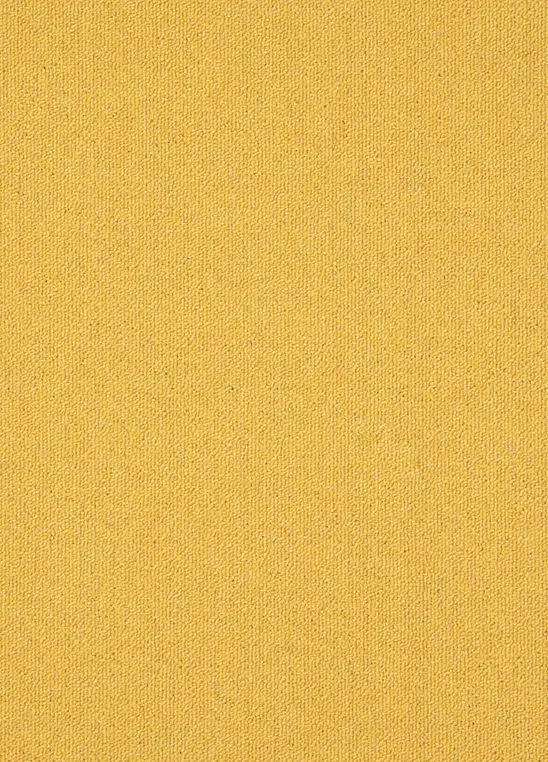 Spark 140.webp
