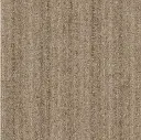 Spark 751.webp