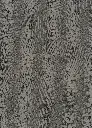 Unchained 904.webp
