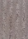 Unchained 419.webp