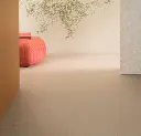 195679_5804 (1).webp