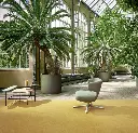 195629_3259 (1).webp