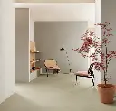 255290_t3860 (1).webp