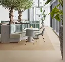 255288_t3757 (1).webp