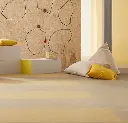 255333_t3774 (1).webp