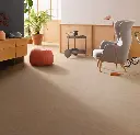 168292_t5217 (1).webp