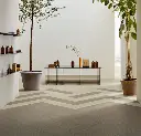 168298_t5231 (1).webp