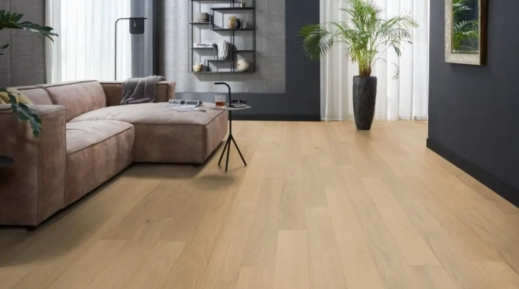 Schermafbeelding 2025-11-23 134736.webp